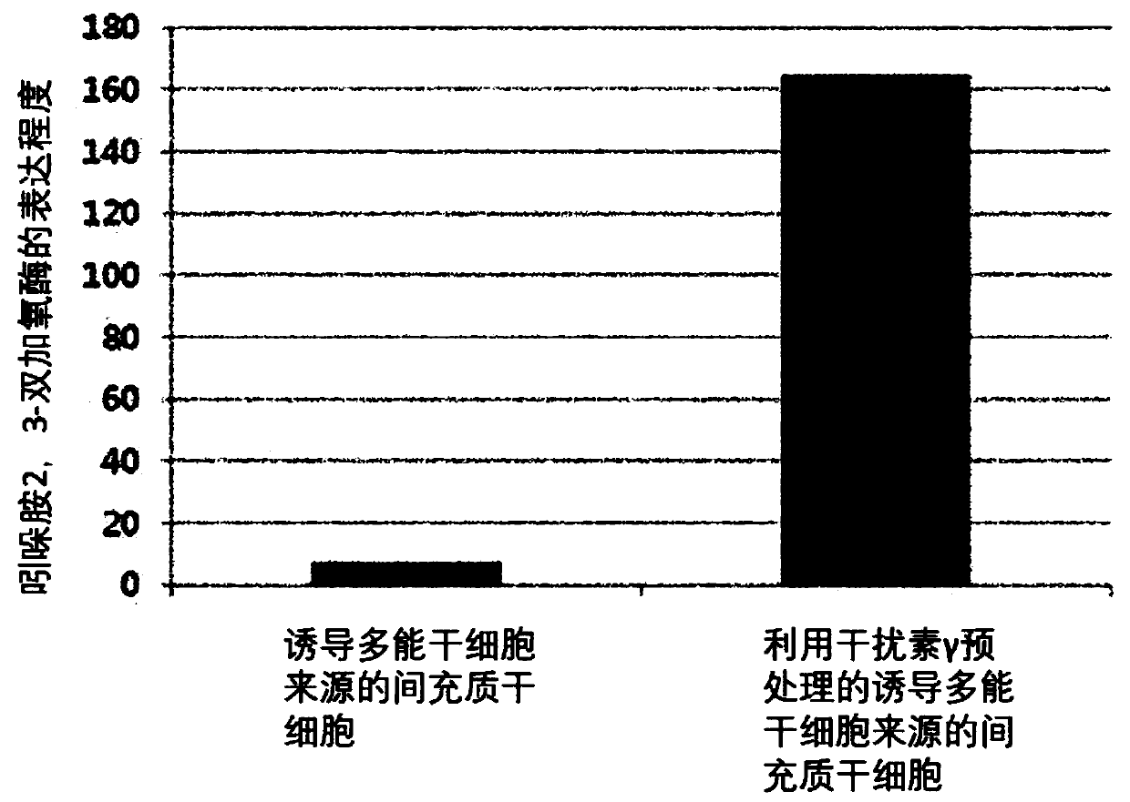 Composition for improving, preventing or treating skin disease comprising induced pluripotency stem cell-derived mesenchymal stem cells pretreated with interferon gamma and exosomes derived therefrom