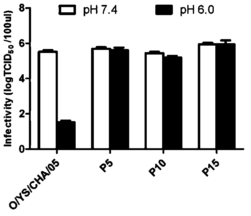 O-type foot and mouth disease virus acid-resistant mutant strain, capsid protein carried by O-type foot and mouth disease virus acid-resistant mutant strain, coding gene of capsid protein and use of O-type foot and mouth disease virus acid-resistant mutant strain and capsid protein