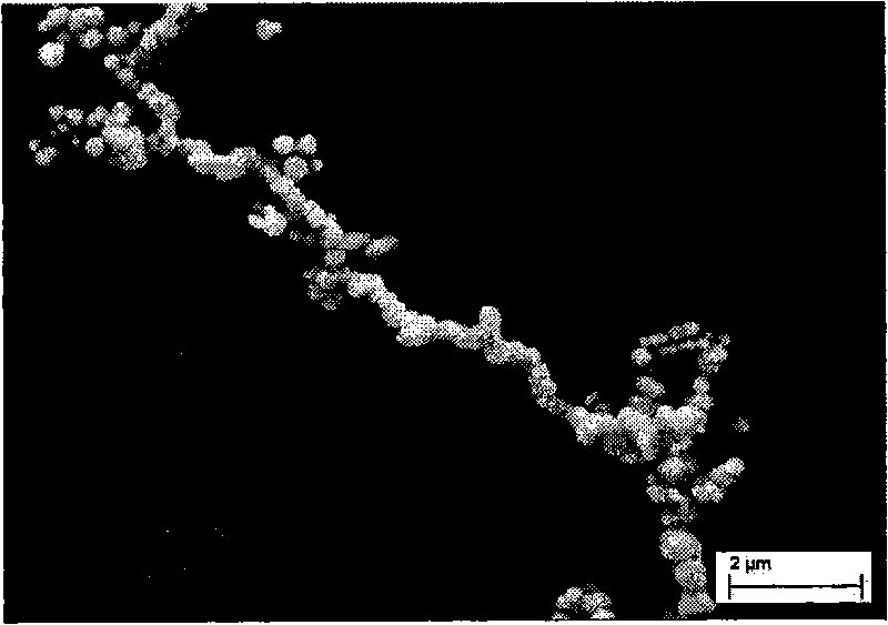 Chemical preparation method of metal cobalt nanowire