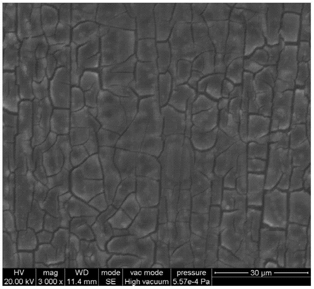 Treatment liquid and treatment method for preparing zirconium-based colored conversion film on magnesium alloy surface