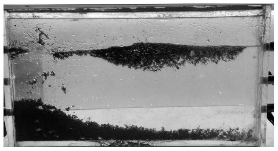 Efficient conveying and filling proppant based on bionics and preparation method of efficient conveying and filling proppant