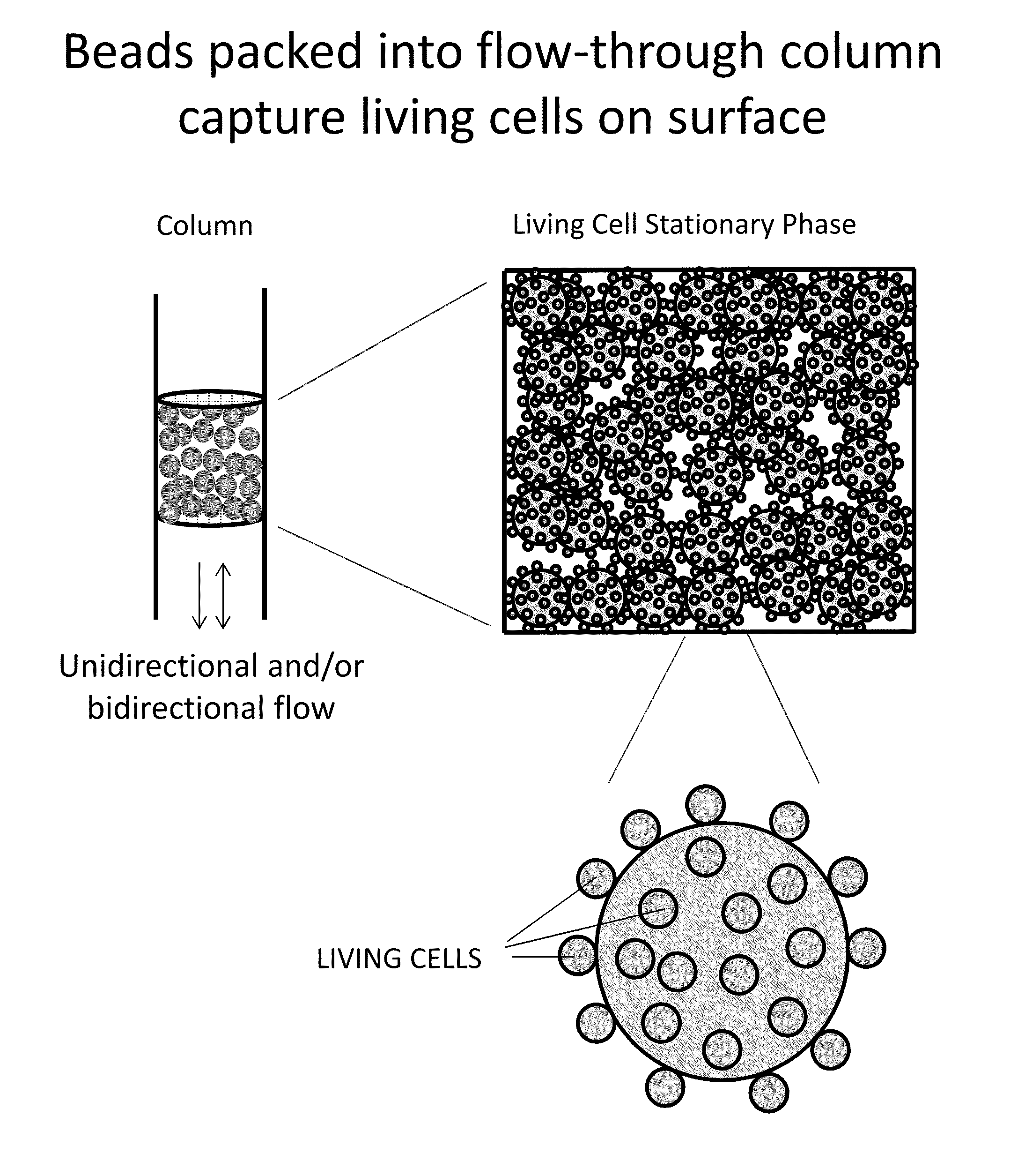 Isolation, Detection and Use of Biological Cells