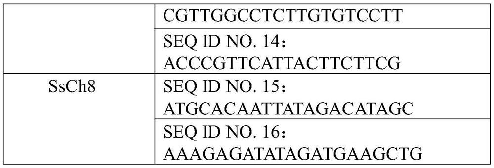 Molecular marker system for identifying authenticity of sugarcane hybrid and development method of molecular marker system