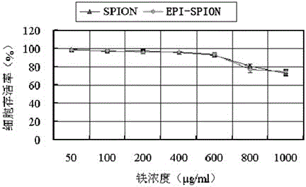 Application of superparamagnetic iron oxide nanoparticle applied in transdermal drug delivery system