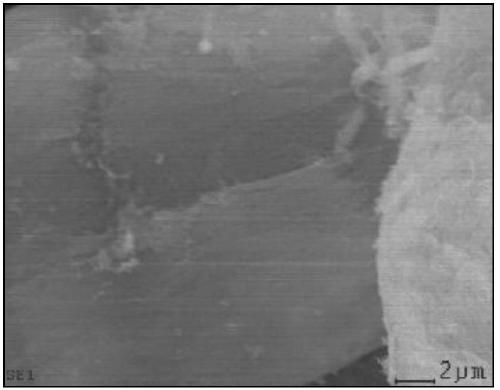 Fluorine-carbon ratio control method for fluorinated carbon nanotubes