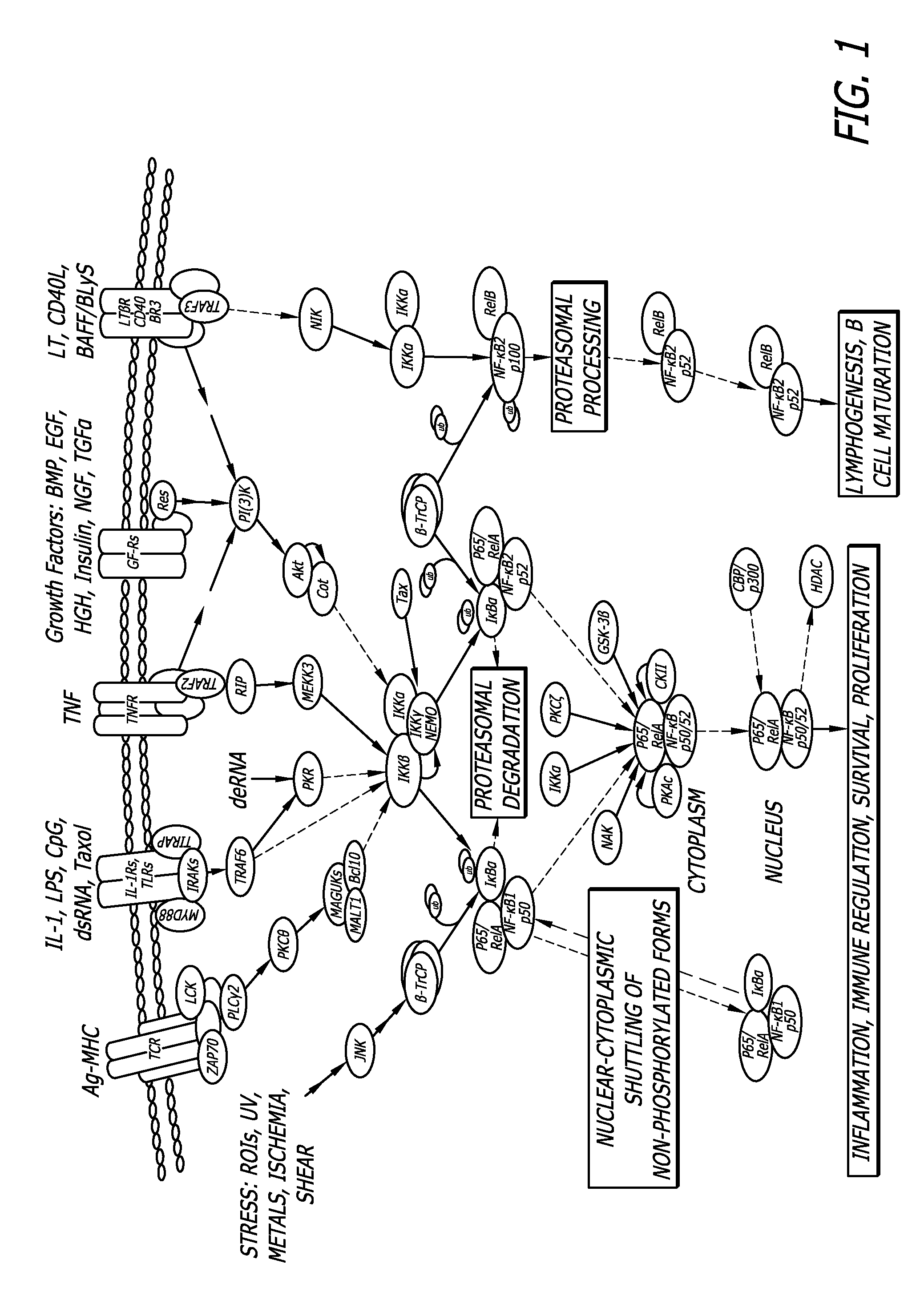 Systems and Methods to Treat Pain Locally