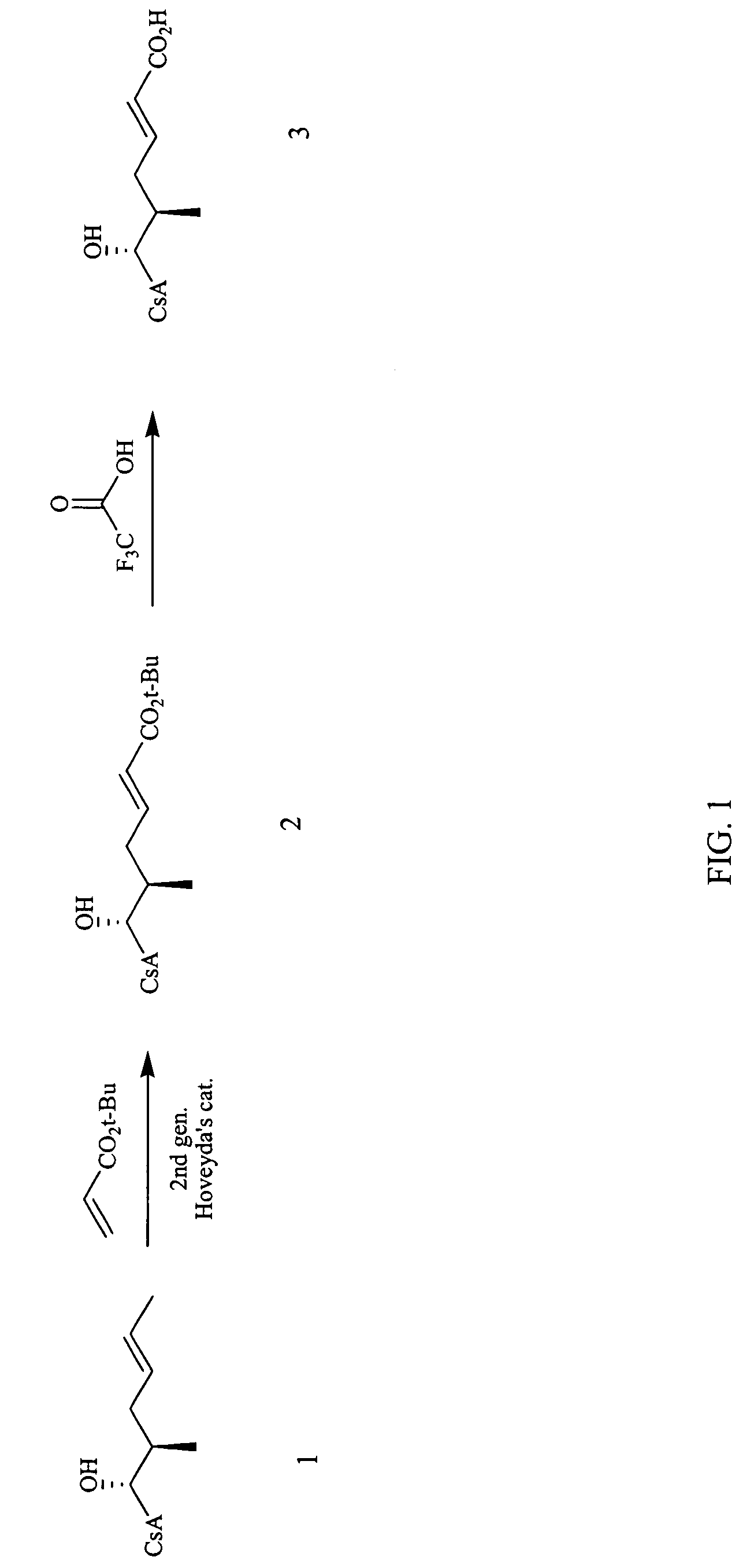 Cyclosporin analogs for the treatment of immunoregulatory disorders and respiratory diseases