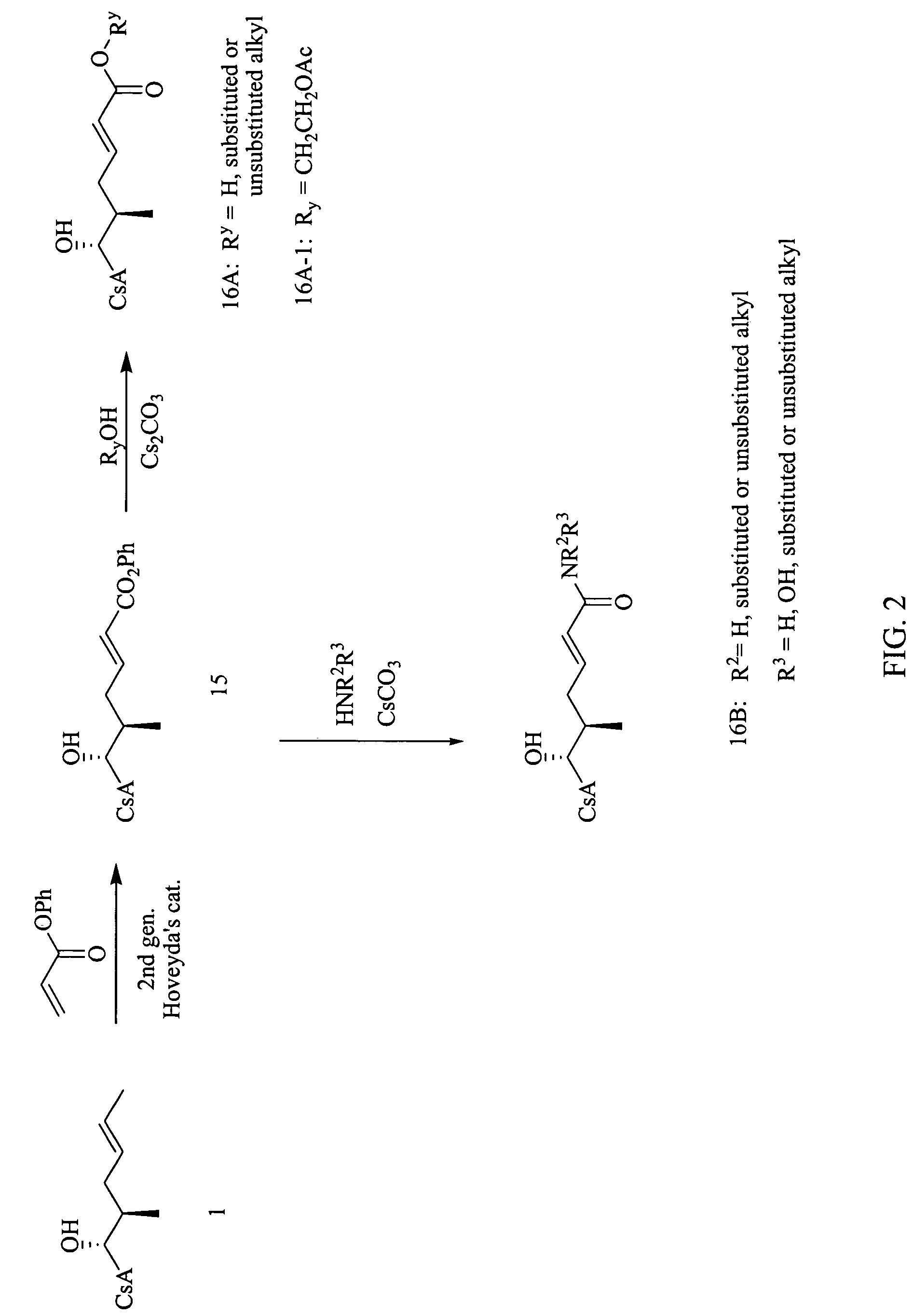 Cyclosporin analogs for the treatment of immunoregulatory disorders and respiratory diseases