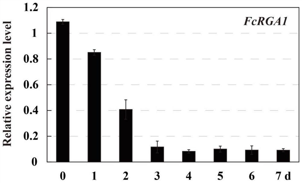 FcRGA1 gene related to disease resistance of citrus plants, primer pair, silence vector and application