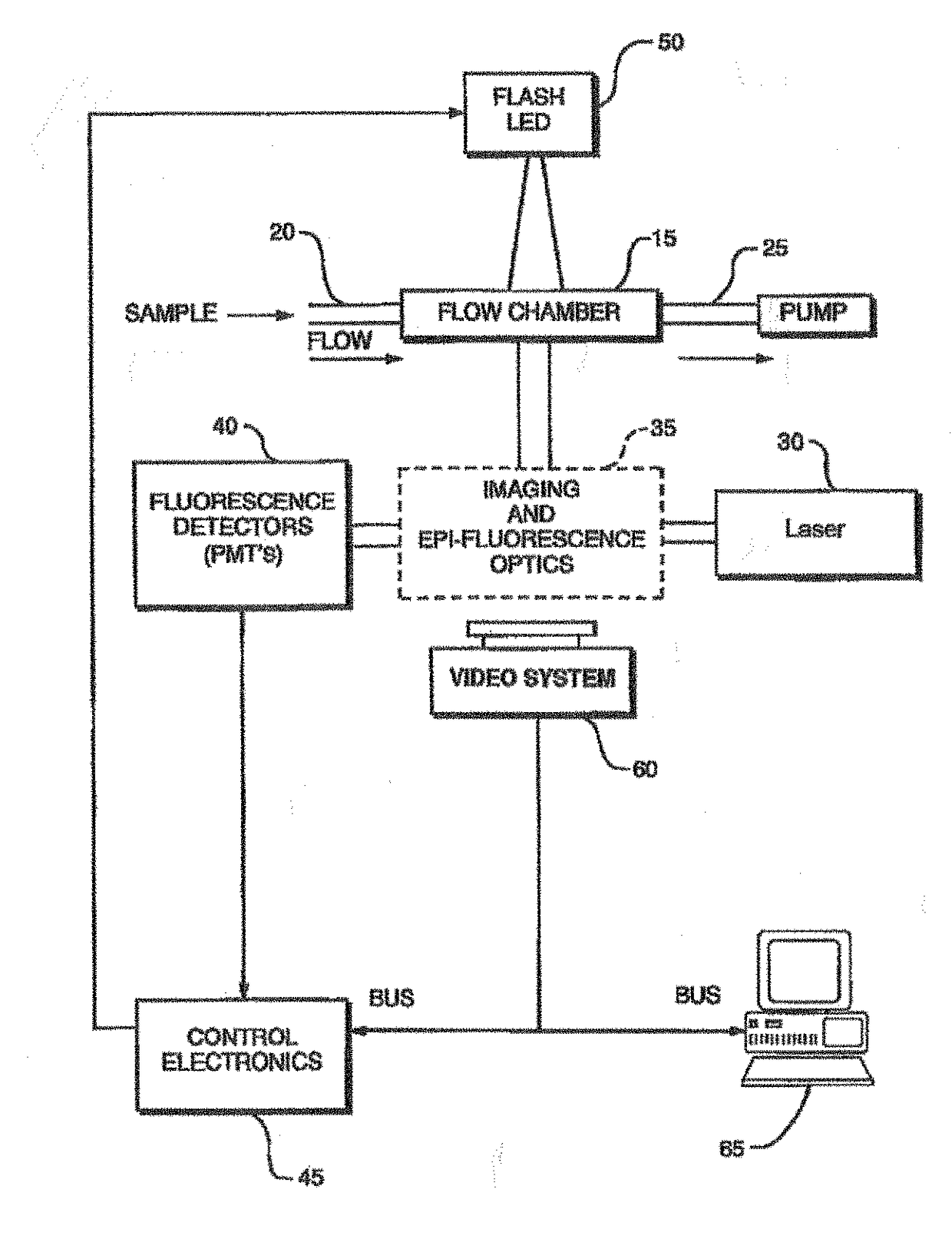 System and method for monitoring particles in a fluid using ratiometric cytometry