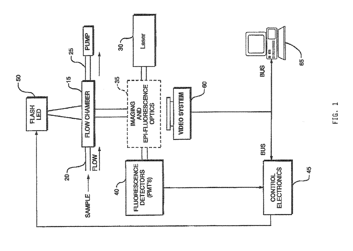 System and method for monitoring particles in a fluid using ratiometric cytometry