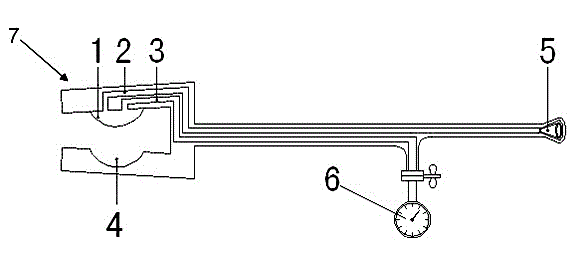 Renal artery directional blocking device