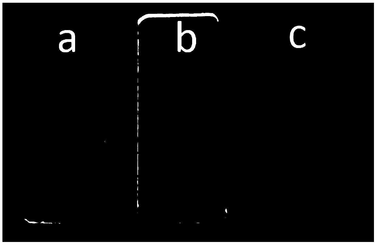 A kind of method that utilizes aldehyde group-containing boron ester compound to detect peroxide