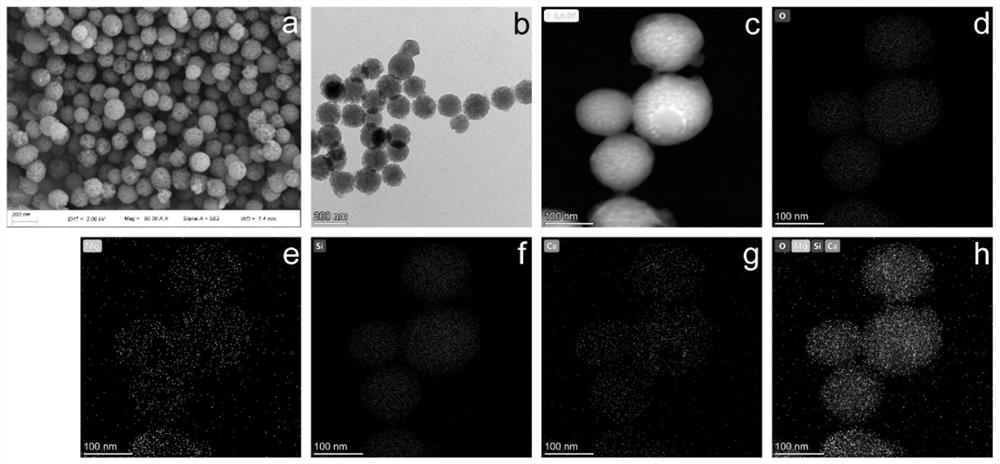 Preparation method and application of tissue engineering biological scaffold