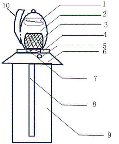 Insect pest trap