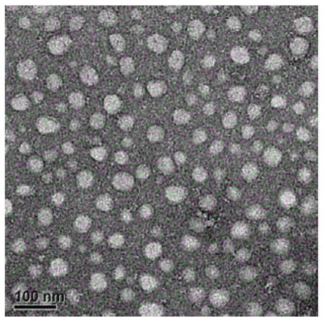 Polypeptide, pharmaceutical composition and preparation method of pharmaceutical composition