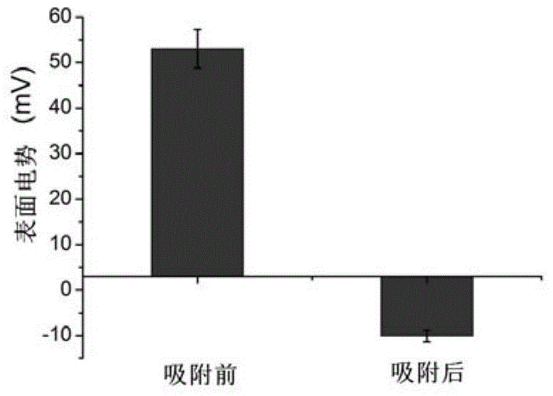 Polypeptide, pharmaceutical composition and preparation method of pharmaceutical composition