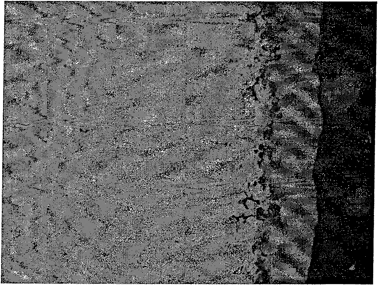 Magnesium alloy electroless plating nickel and free-chromium pre-processing technology and inhibition treatment solution thereof