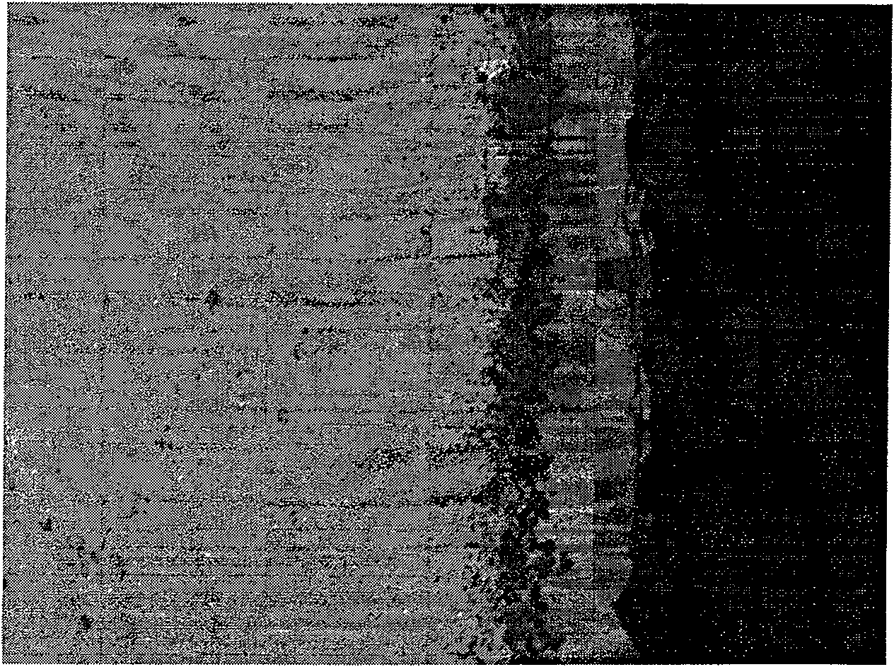 Magnesium alloy electroless plating nickel and free-chromium pre-processing technology and inhibition treatment solution thereof