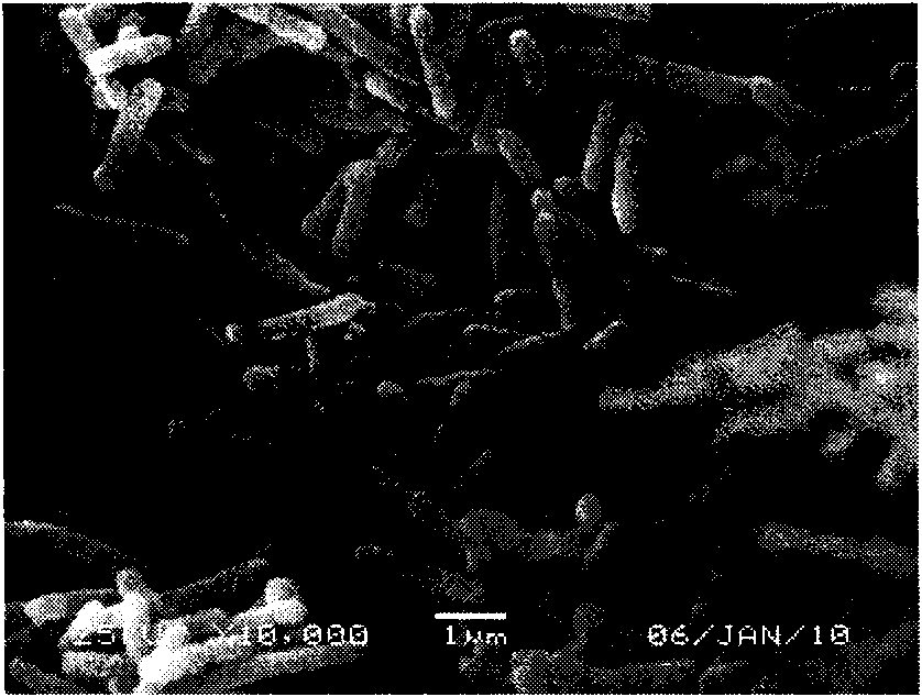 High-efficiency strain for degrading polycyclic aromatic hydrocarbon and construction method and application thereof