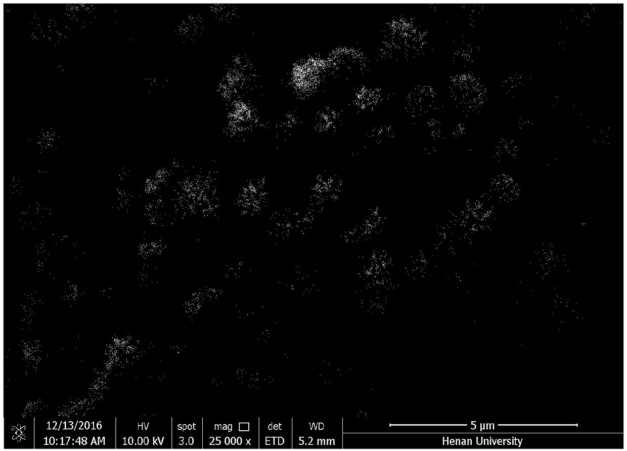 Method for preparing Au nanoflower through microwave auxiliary method and Au nanoflower