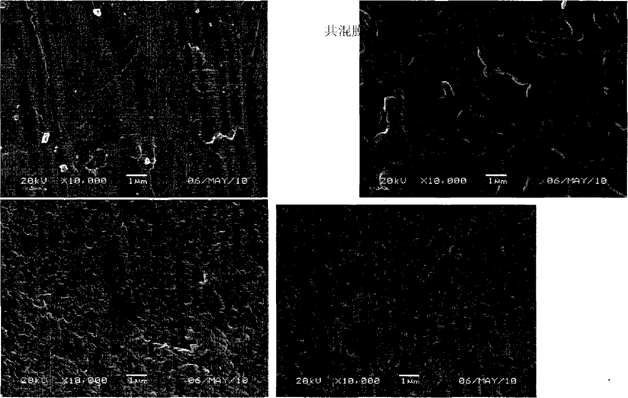 A kind of high temperature resistant alkaline anion exchange membrane and its preparation and application