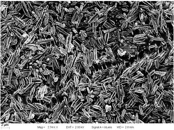 Polyacrylic acid modified rod-shaped monodisperse nagdf  <sub>4</sub> :yb  <sup>3+</sup> ,er  <sup>3+</sup> Upconversion Phosphor