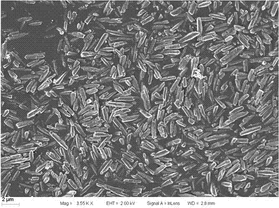 Polyacrylic acid modified rod-shaped monodisperse nagdf  <sub>4</sub> :yb  <sup>3+</sup> ,er  <sup>3+</sup> Upconversion Phosphor