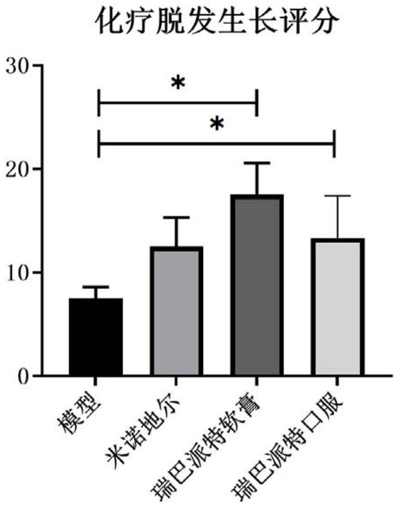 Application of rebamipide to alopecia prevention and hair growth