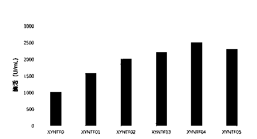 Acid xylanase mutants with improved enzyme activity and heat resistance, coding gene and application thereof