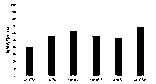 Acid xylanase mutants with improved enzyme activity and heat resistance, coding gene and application thereof