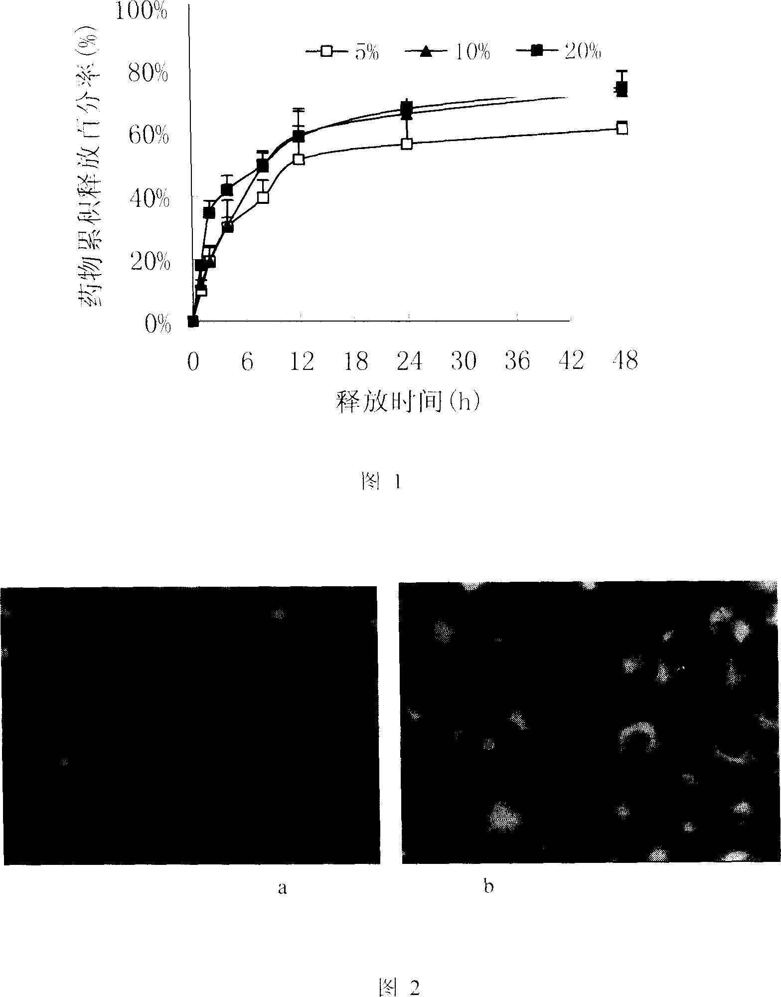 Nanostructured liposome vector with highly effective antineoplastic activity