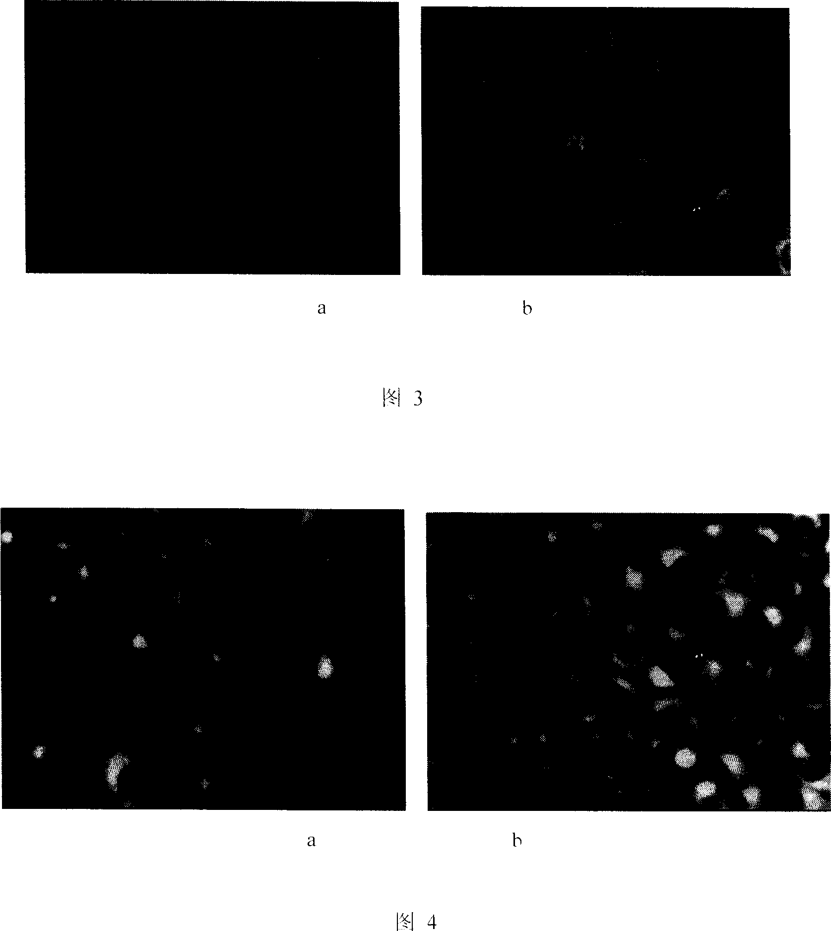 Nanostructured liposome vector with highly effective antineoplastic activity