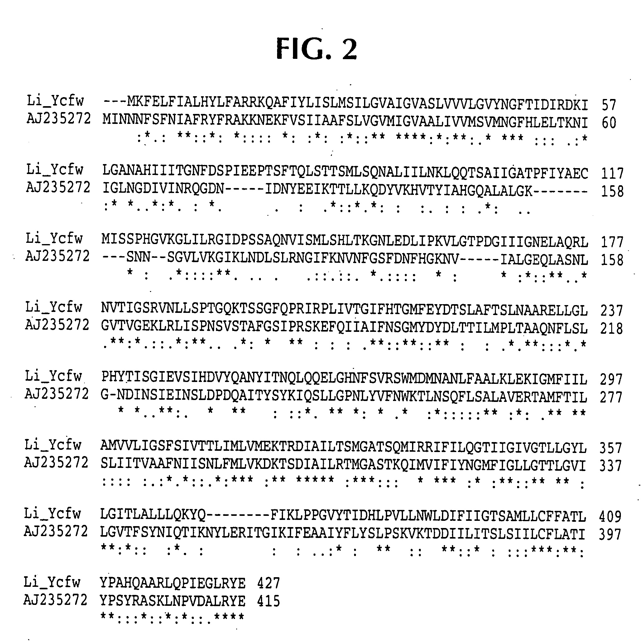 Lawsonia intracellularis proteins, and related methods and materials