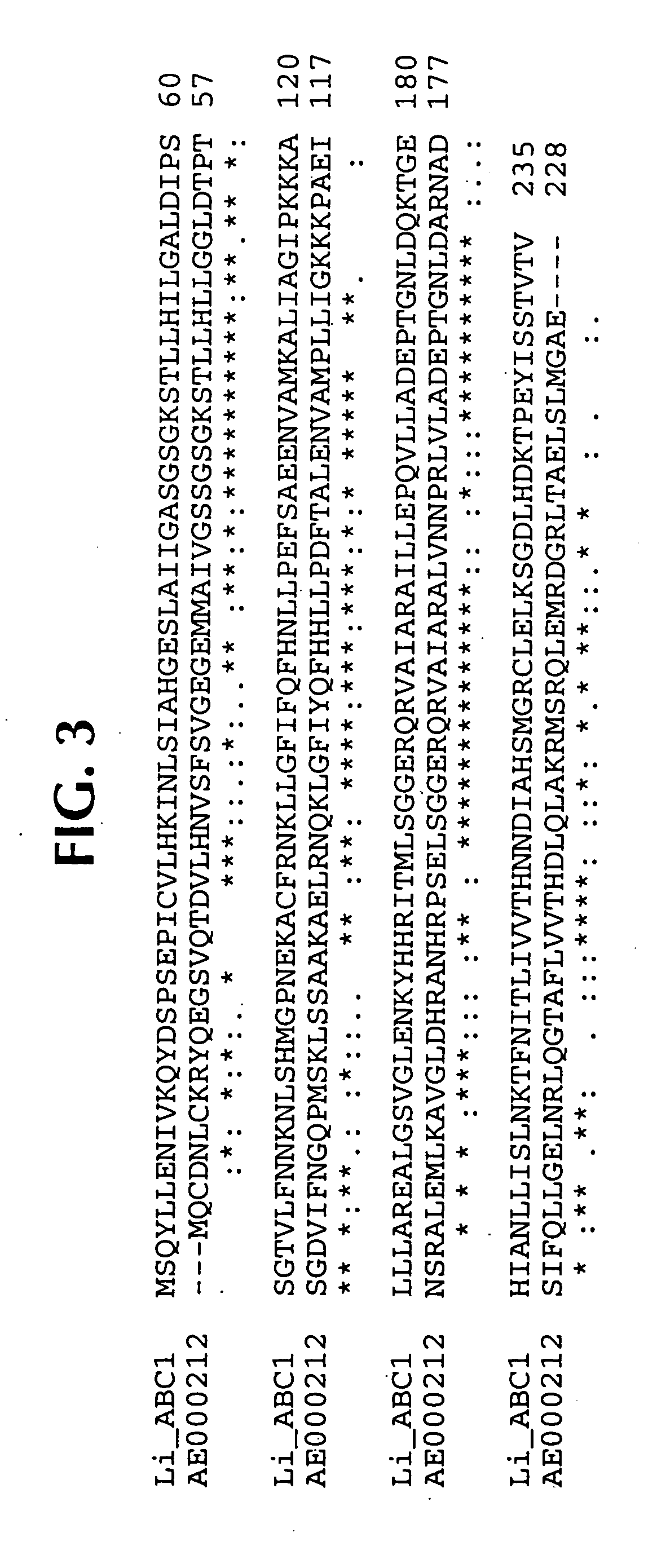 Lawsonia intracellularis proteins, and related methods and materials