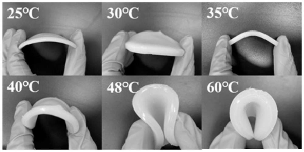 Flexible-elastic shape-stabilized temperature-controlled multifunctional phase-change material and preparation method thereof