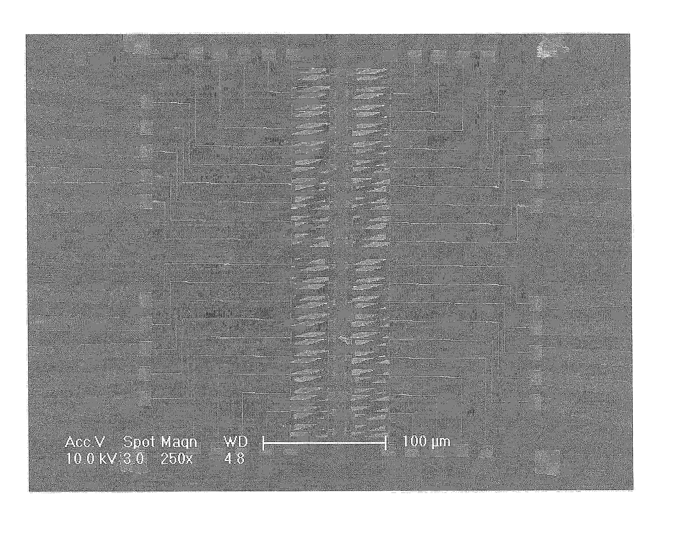 Apparatus for Detecting Nano Particle Having Nano-Gap Electrode