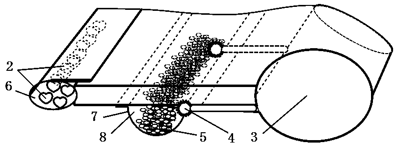 Seed-carrying combined drip irrigation band and manufacturing method thereof