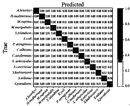 Single-cell analysis and authentication method at high flux by combining Raman spectrum with artificial intelligence