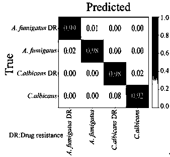 Single-cell analysis and authentication method at high flux by combining Raman spectrum with artificial intelligence