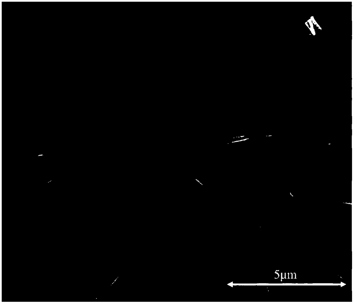 SiAlCN(O) ceramic nano fiber, and preparation method and application thereof