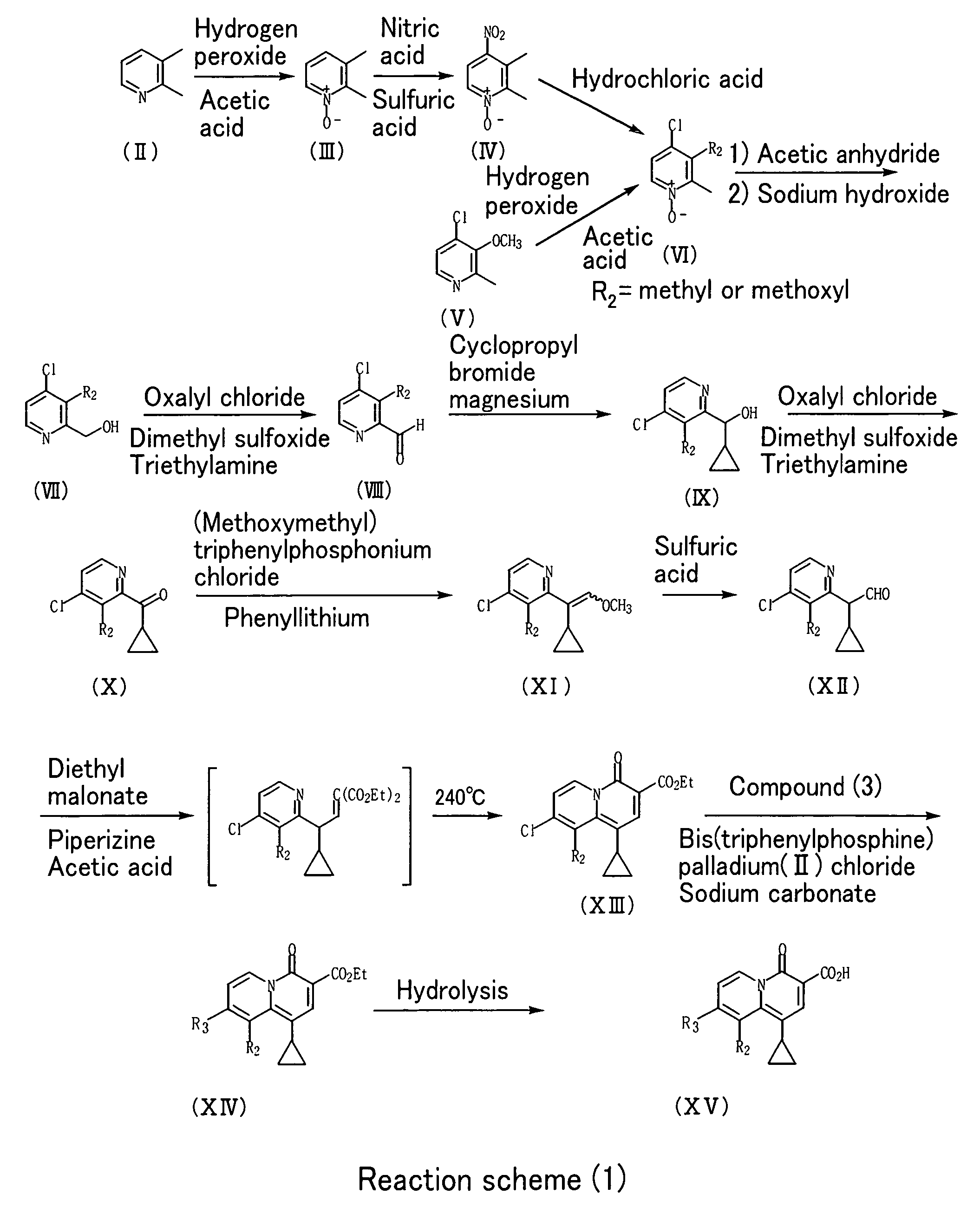 4-oxoquinolizine antibacterial agent having 2-pyridone skeleton as partial structure