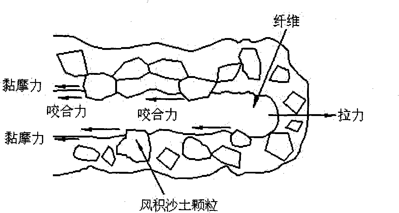 Method for reinforcing aeolian sandy soil by polypropylene fibers