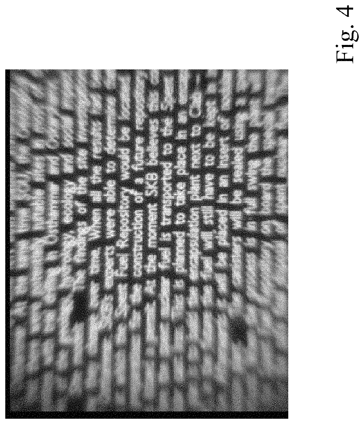 Method for long-term storage of information and storage medium therefor