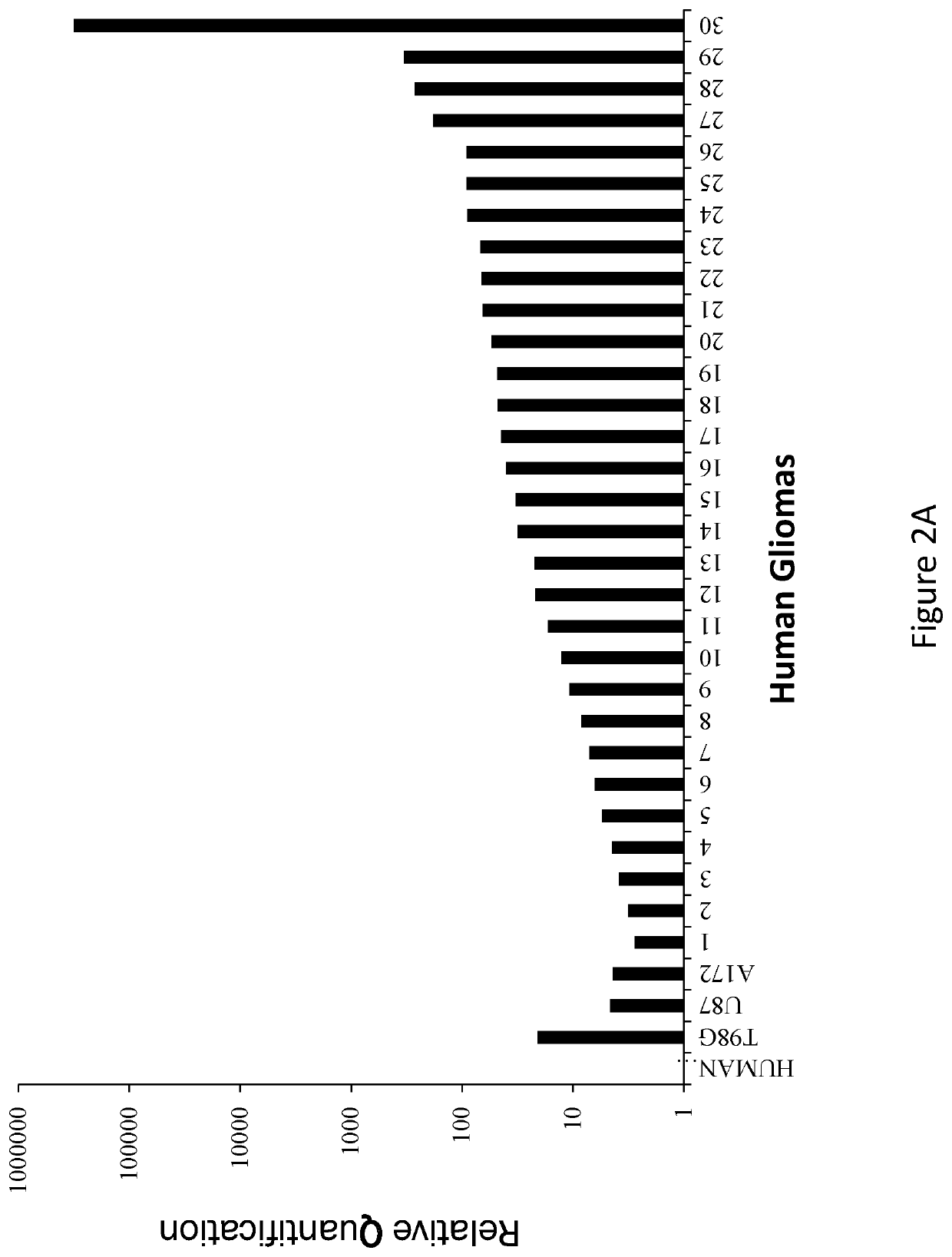 Treatment for glioblastoma