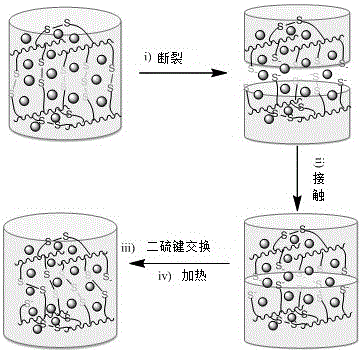 A self-healing and recyclable vulcanized rubber, its preparation method and application