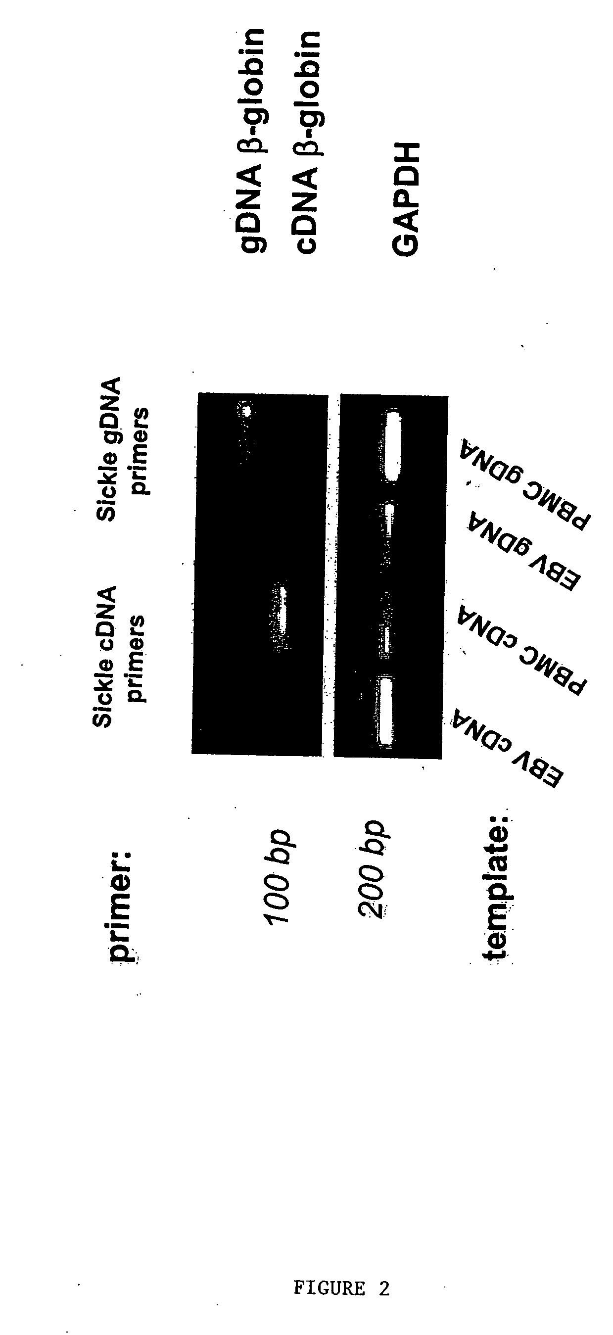 Methods to detect lineage-specific cells