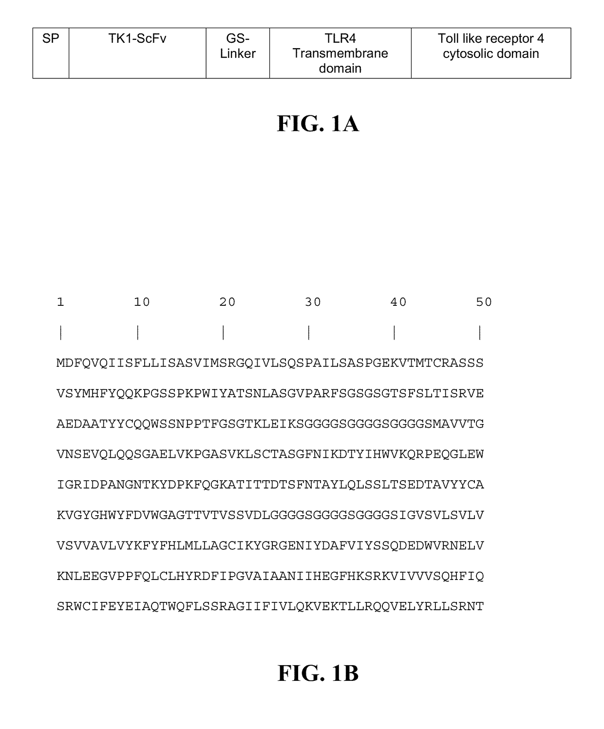 Transgenic macrophages, chimeric antigen receptors, and associated methods