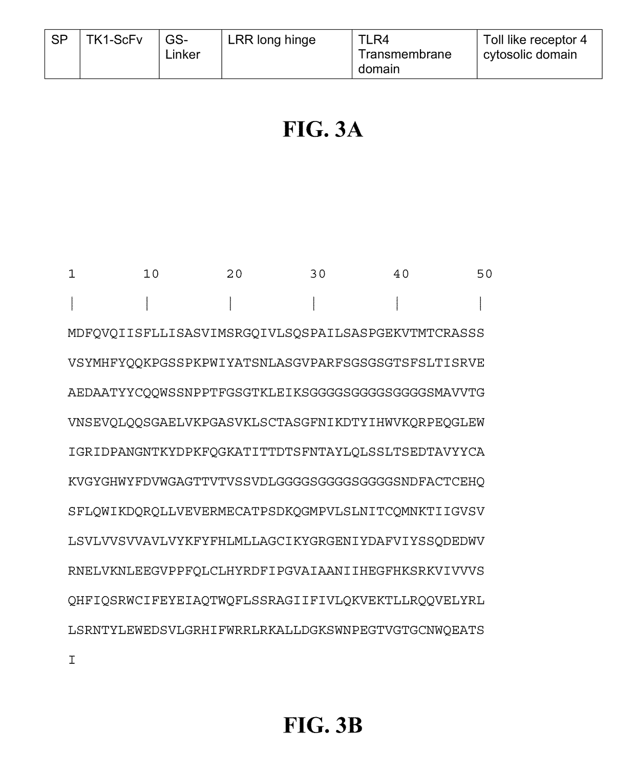 Transgenic macrophages, chimeric antigen receptors, and associated methods