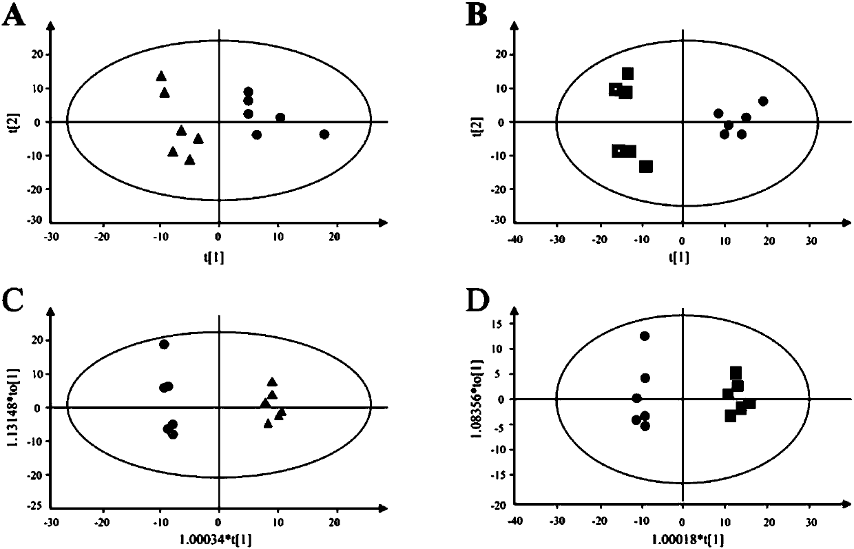 Application of metabolite of physarum polycephalum used as biomarker